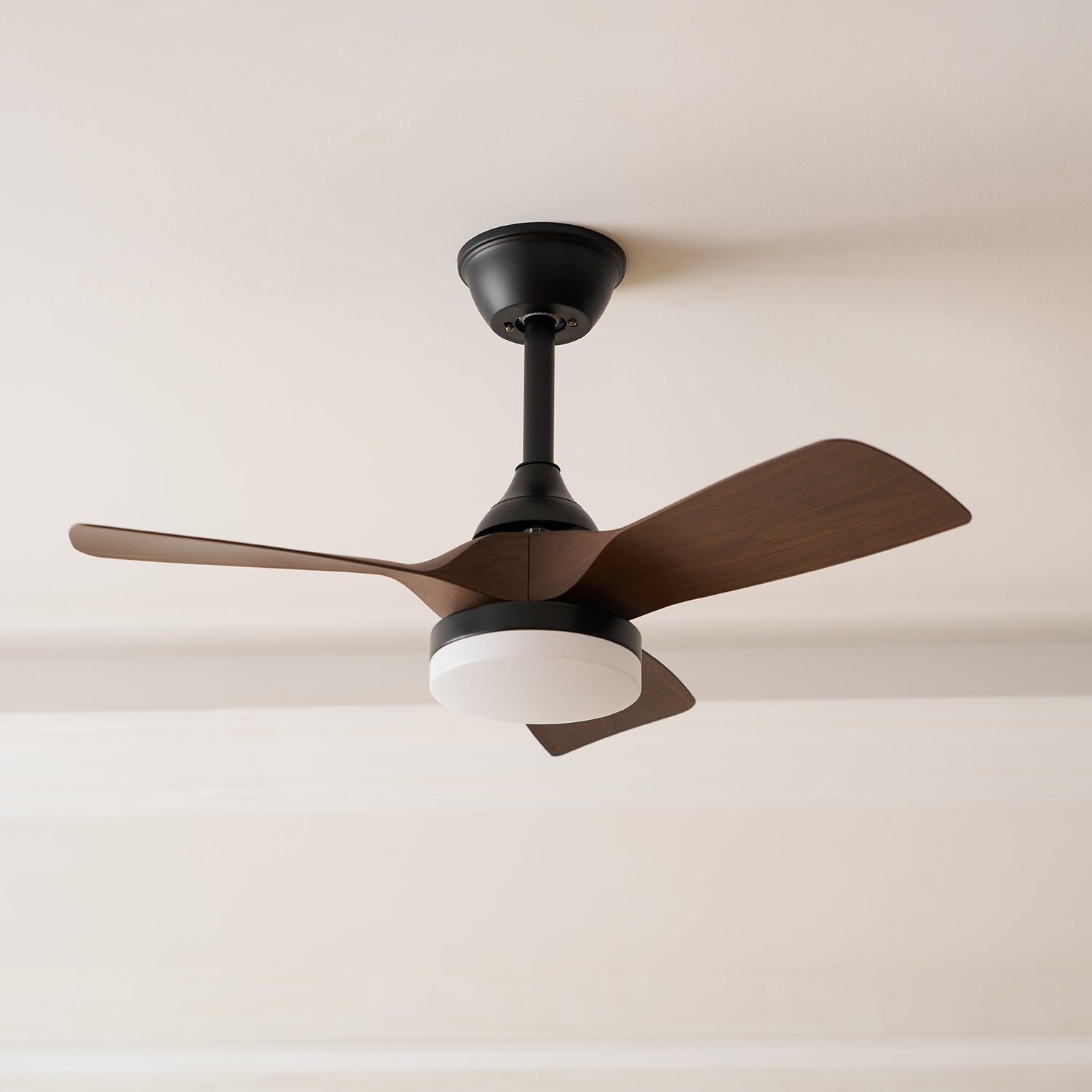 Alancove Ceiling Fan Light