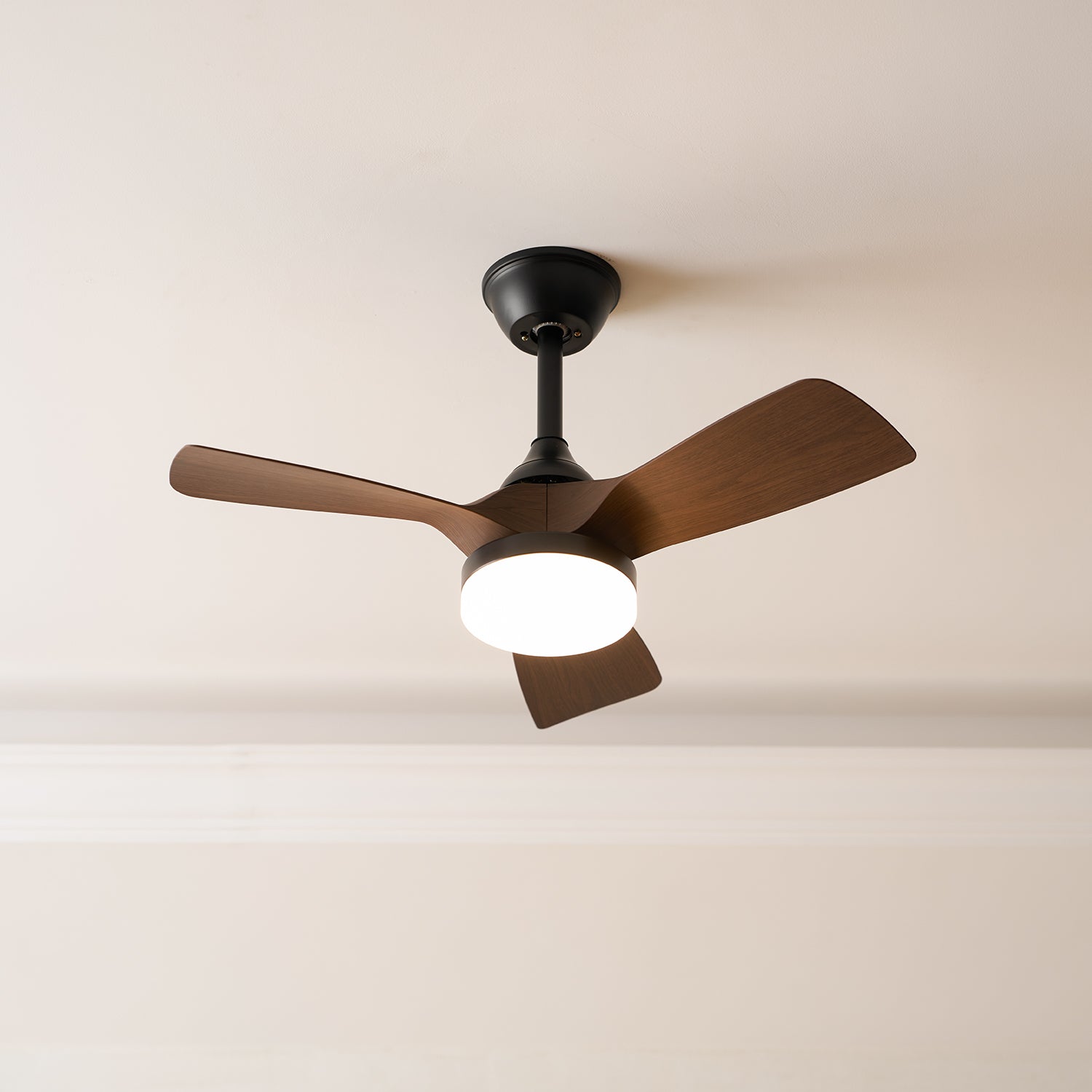 Alancove Ceiling Fan Light