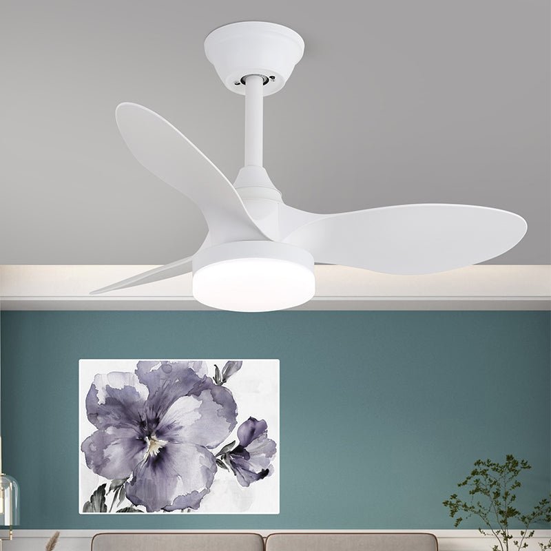 Alancove Ceiling Fan Light