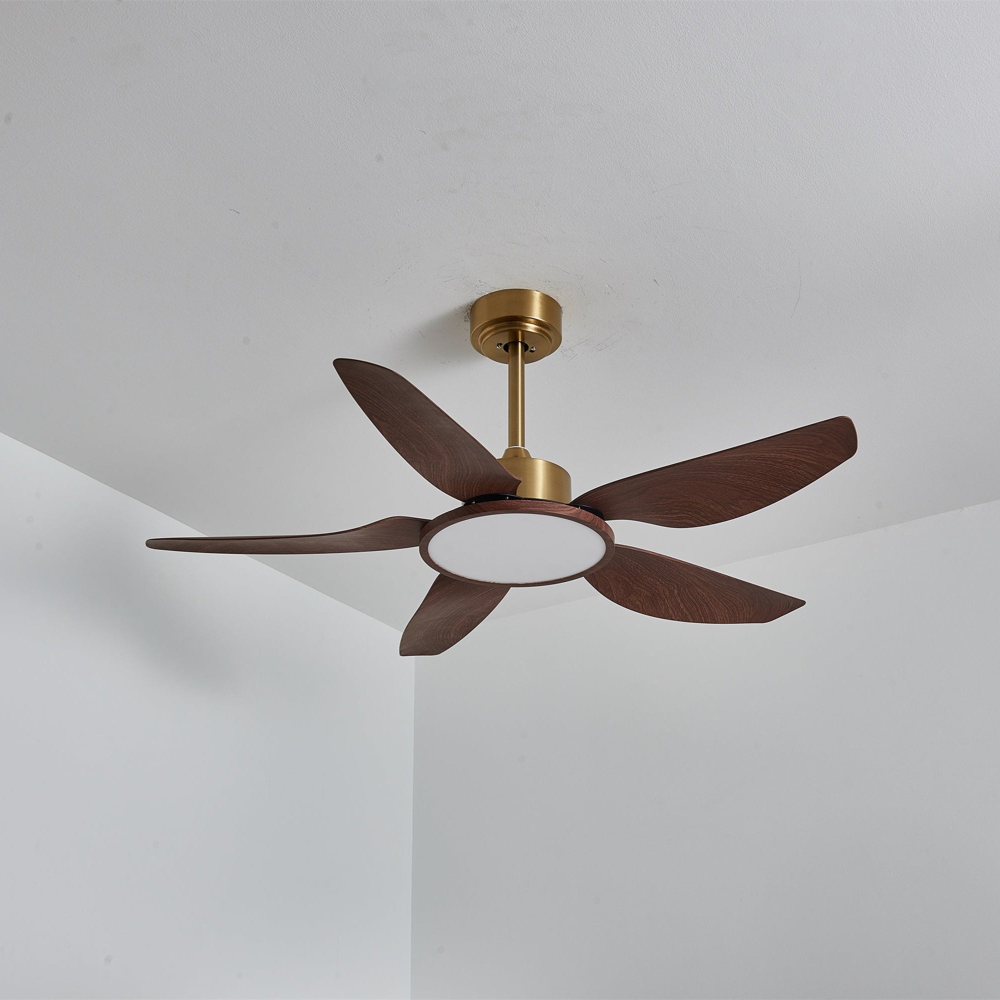 Haleno Ceiling Fan Light
