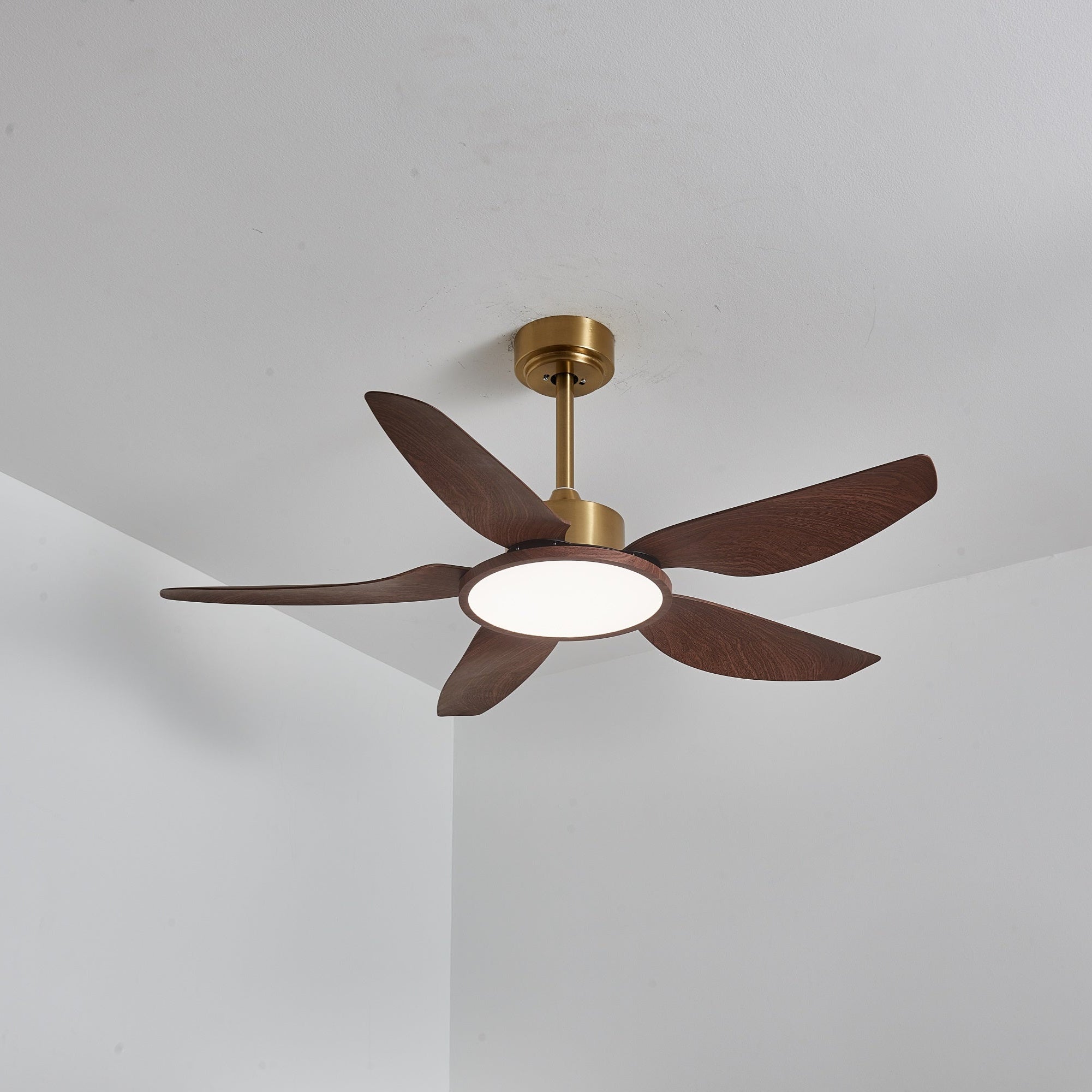 Haleno Ceiling Fan Light
