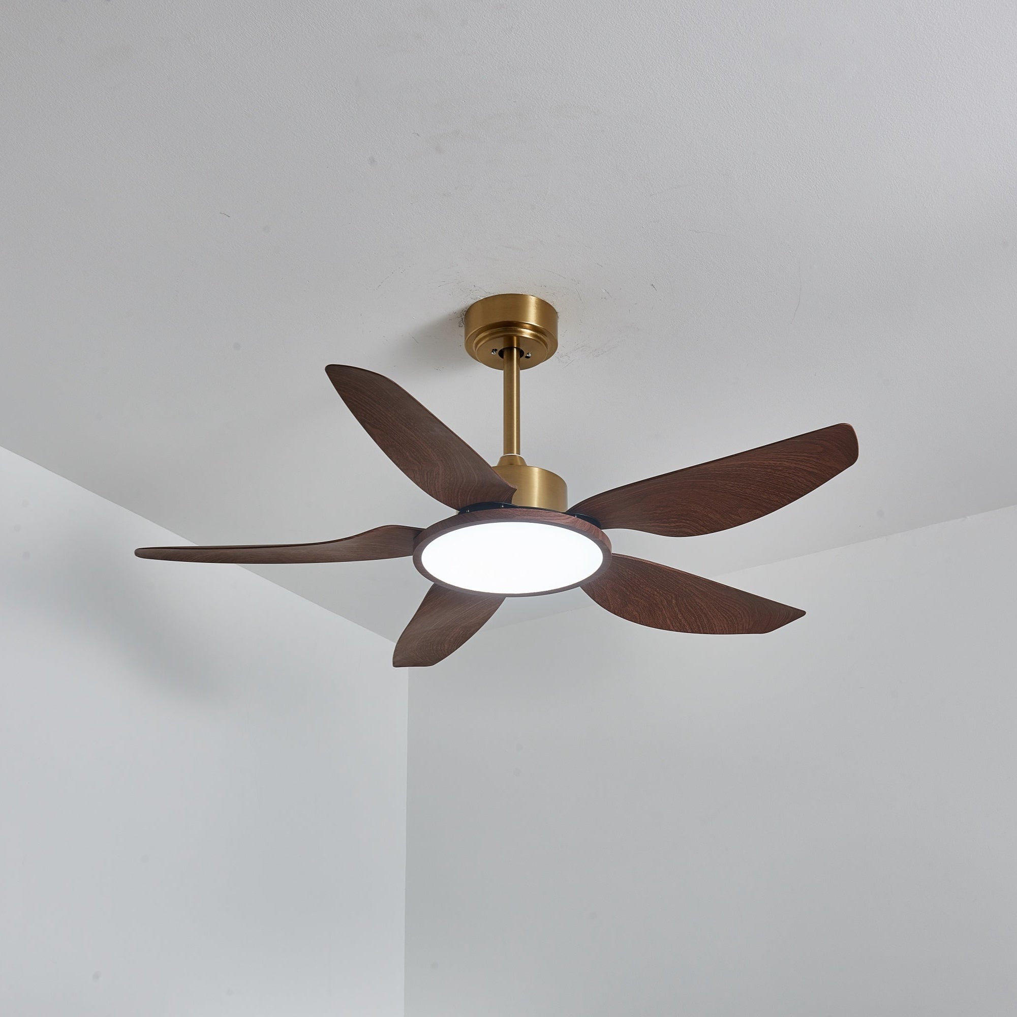 Haleno Ceiling Fan Light