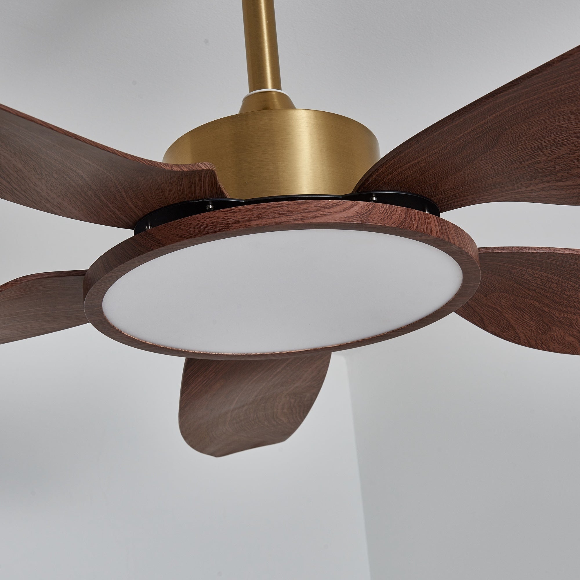 Haleno Ceiling Fan Light