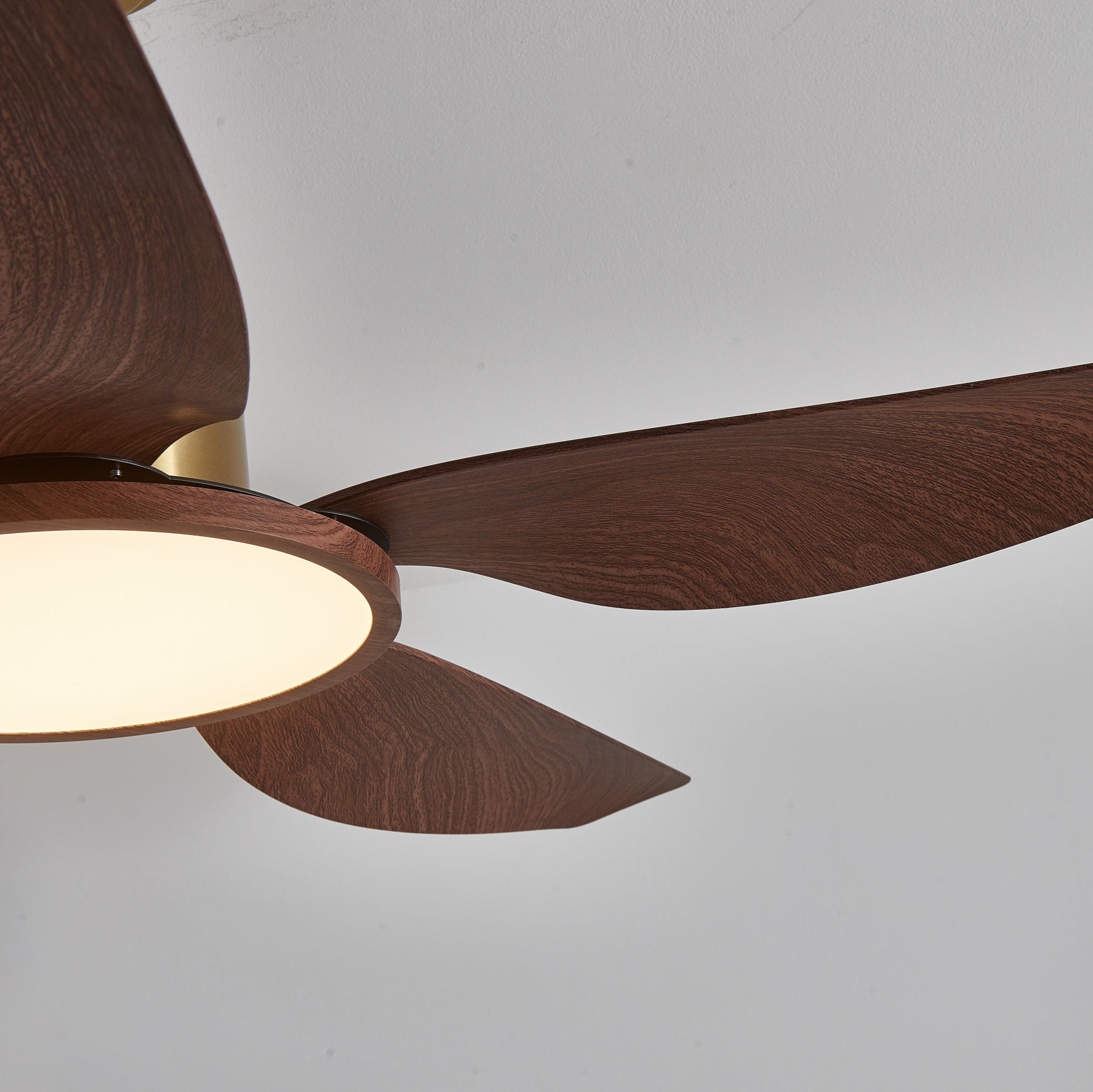 Haleno Ceiling Fan Light