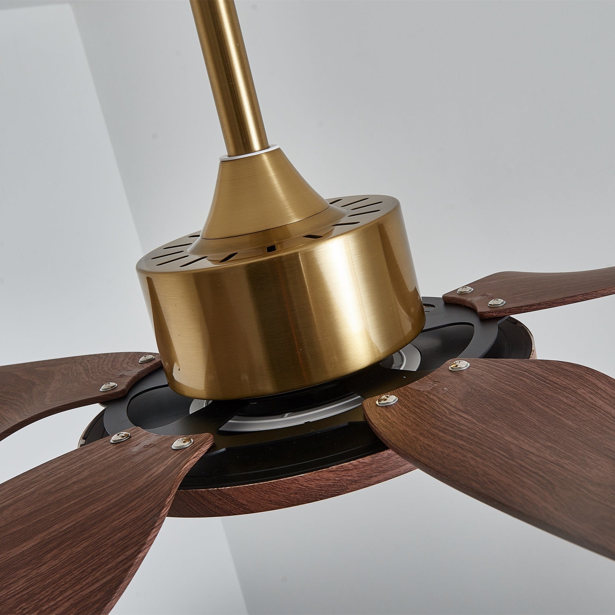 Haleno Ceiling Fan Light