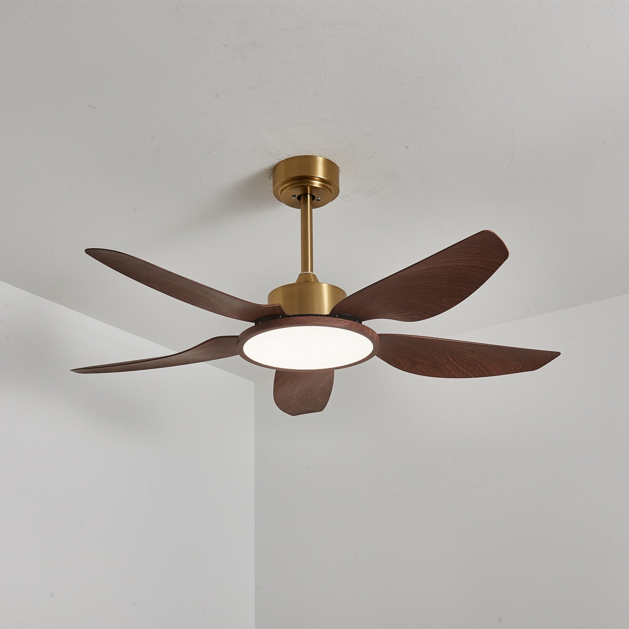 Haleno Ceiling Fan Light