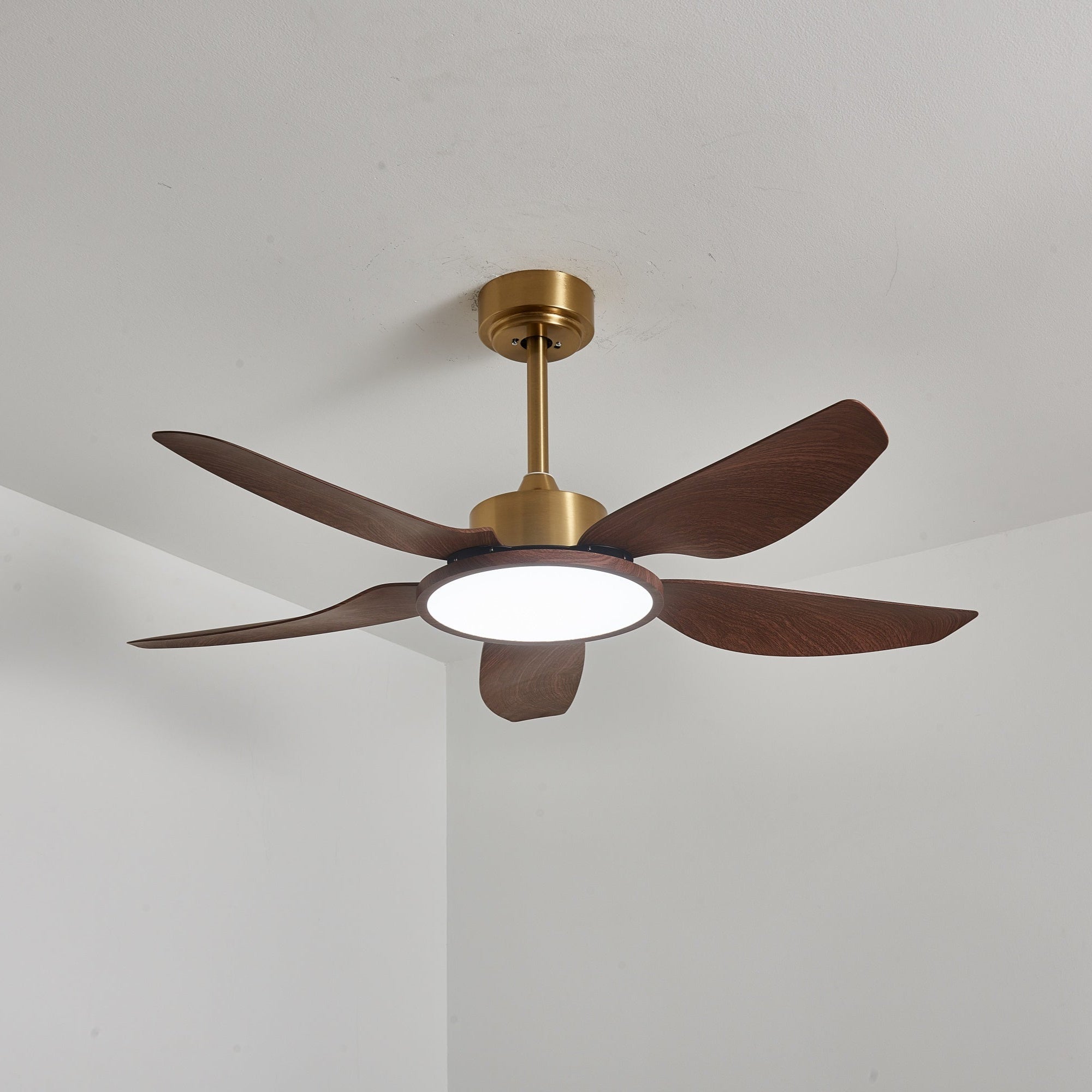 Haleno Ceiling Fan Light