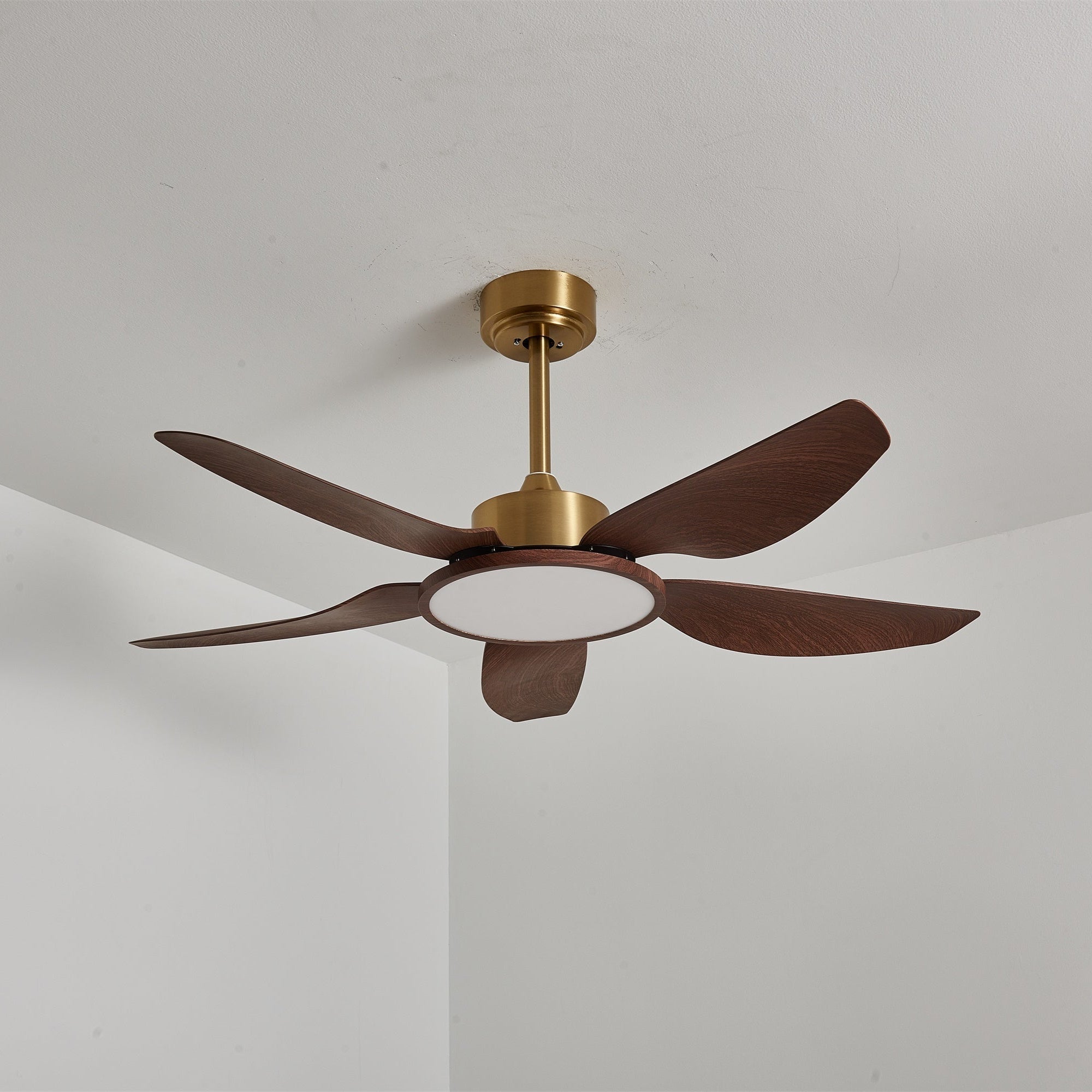 Haleno Ceiling Fan Light