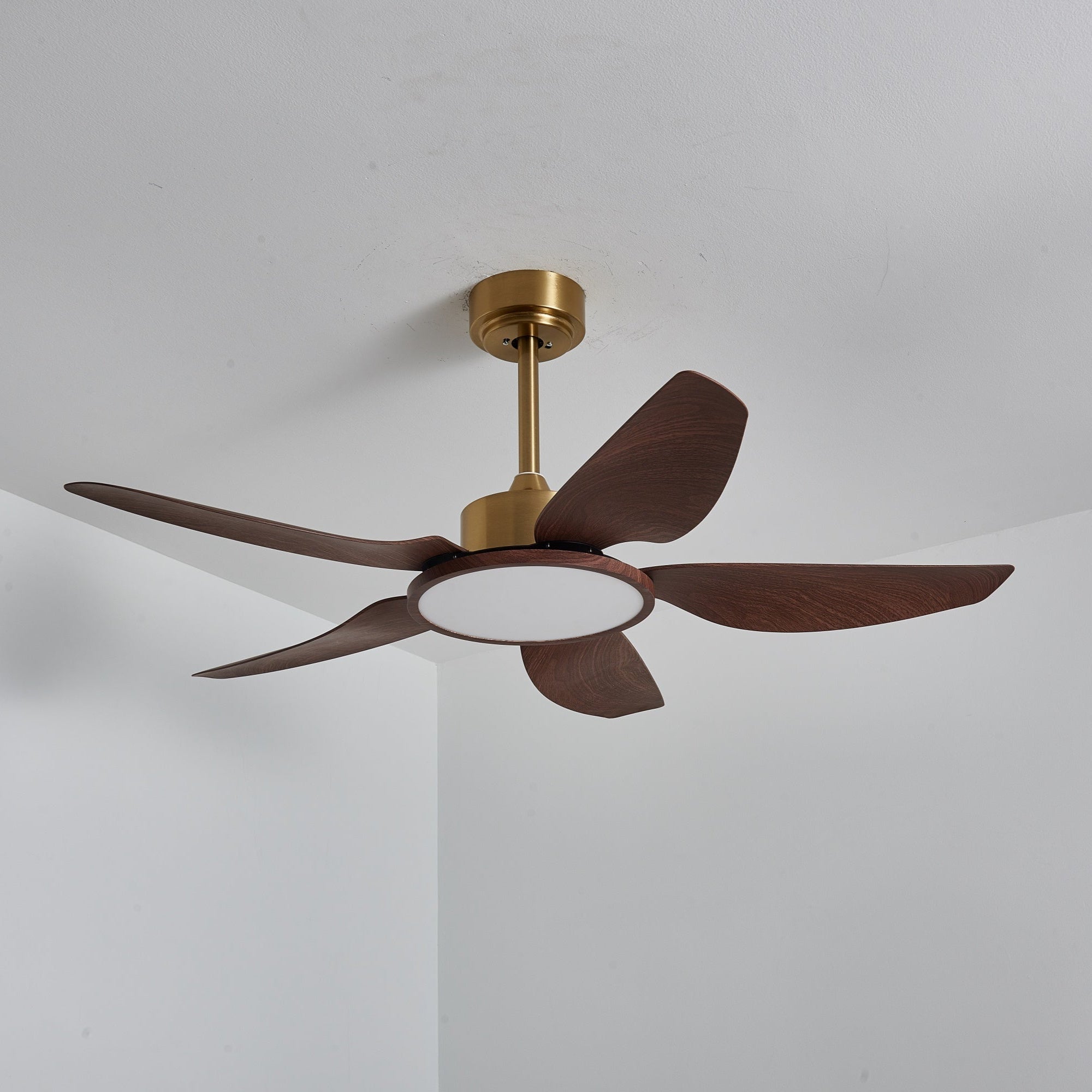 Haleno Ceiling Fan Light