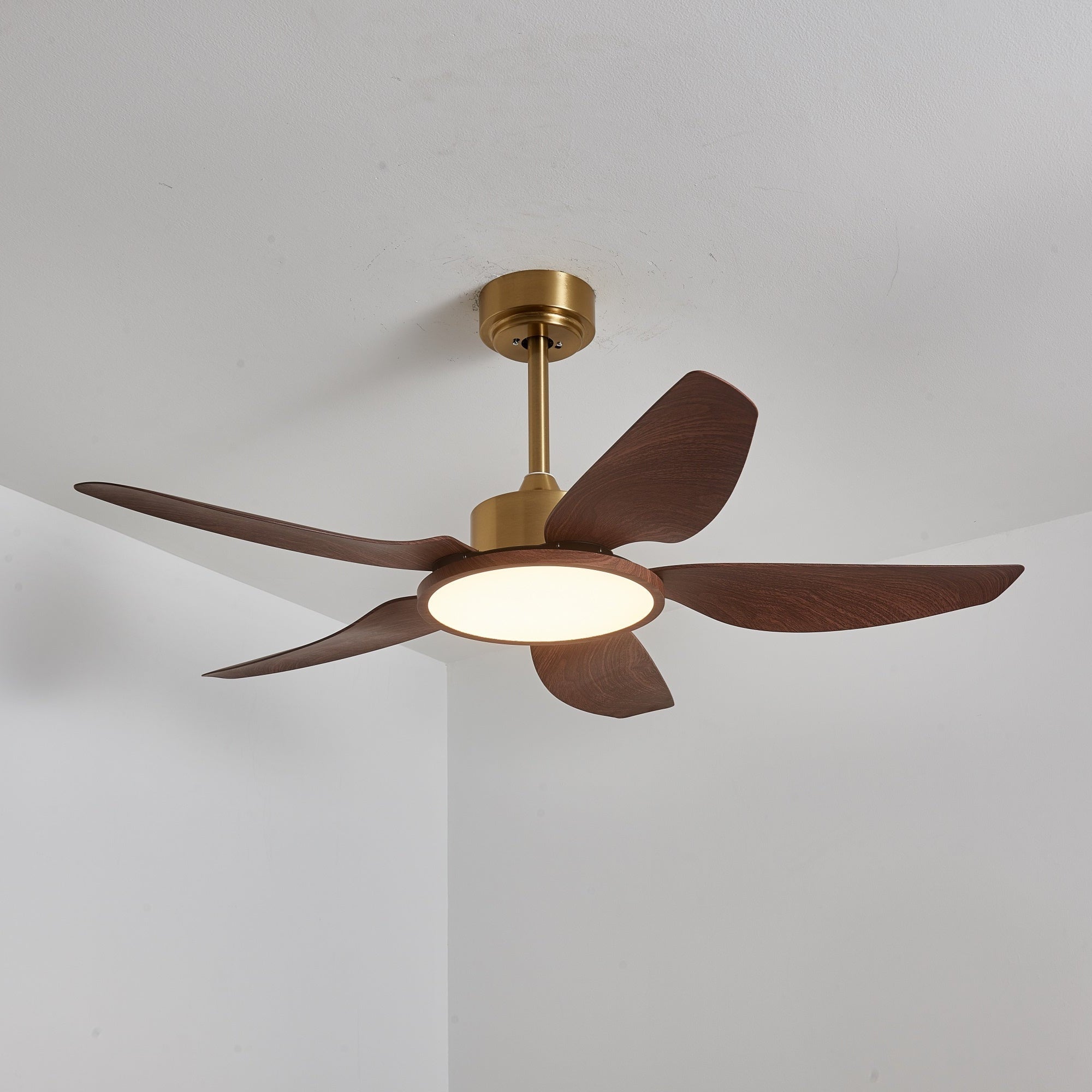Haleno Ceiling Fan Light