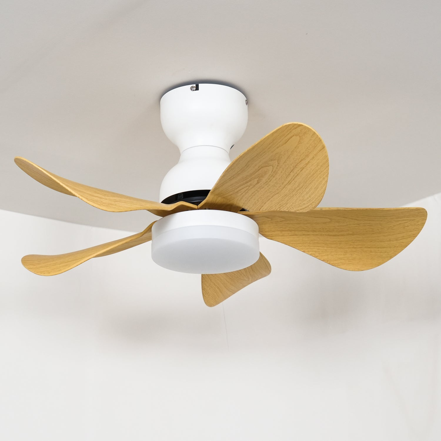 Reefli Ceiling Fan Light