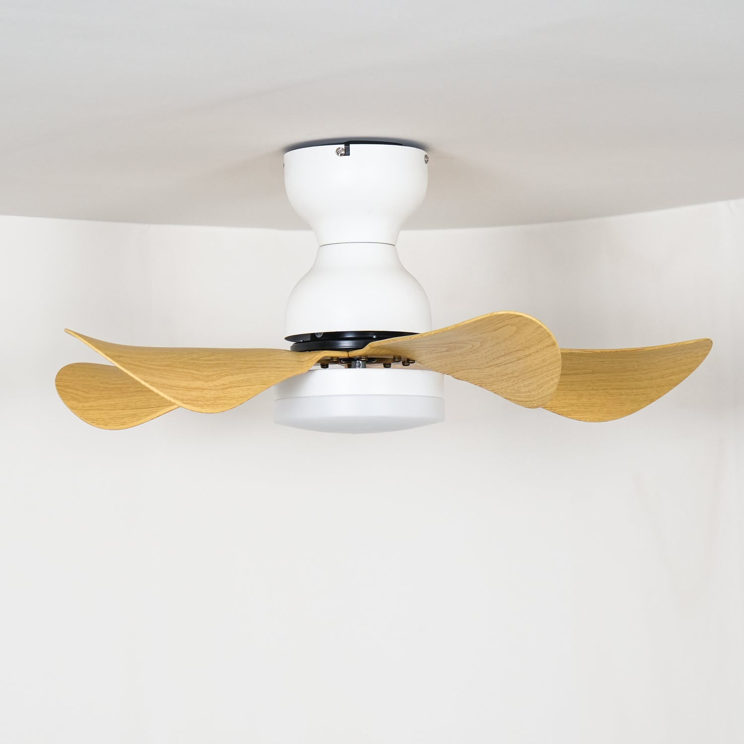 Reefli Ceiling Fan Light