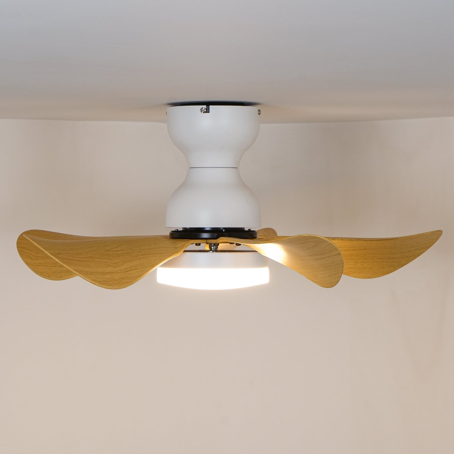 Reefli Ceiling Fan Light