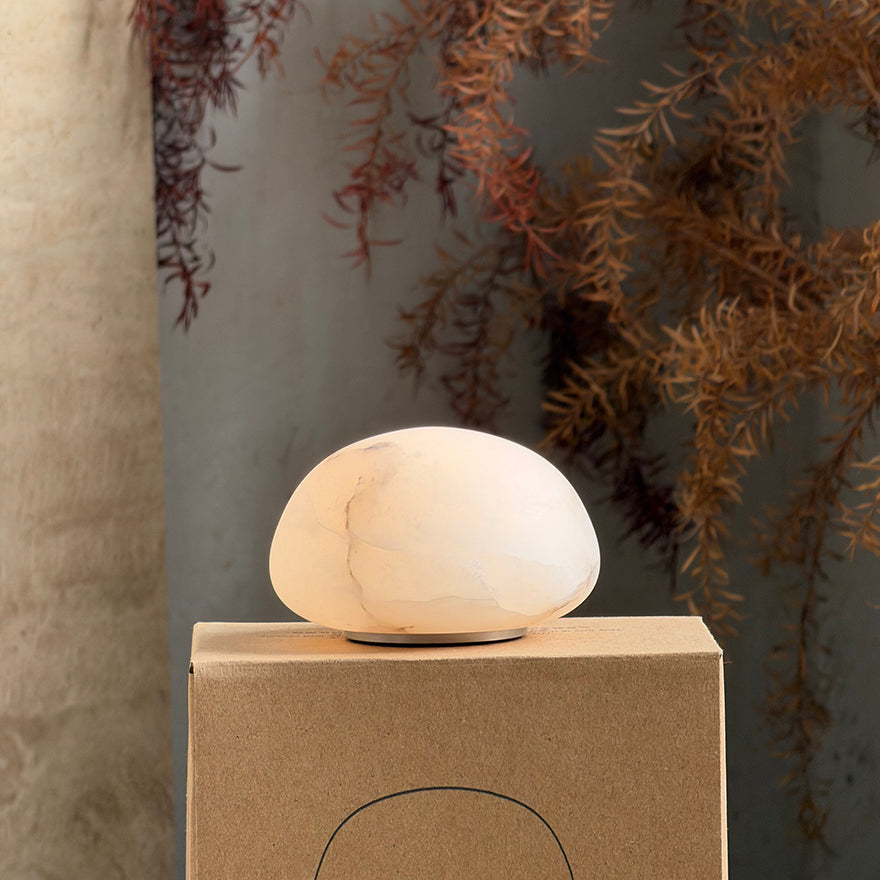 Lexerro Portable Table Lamp