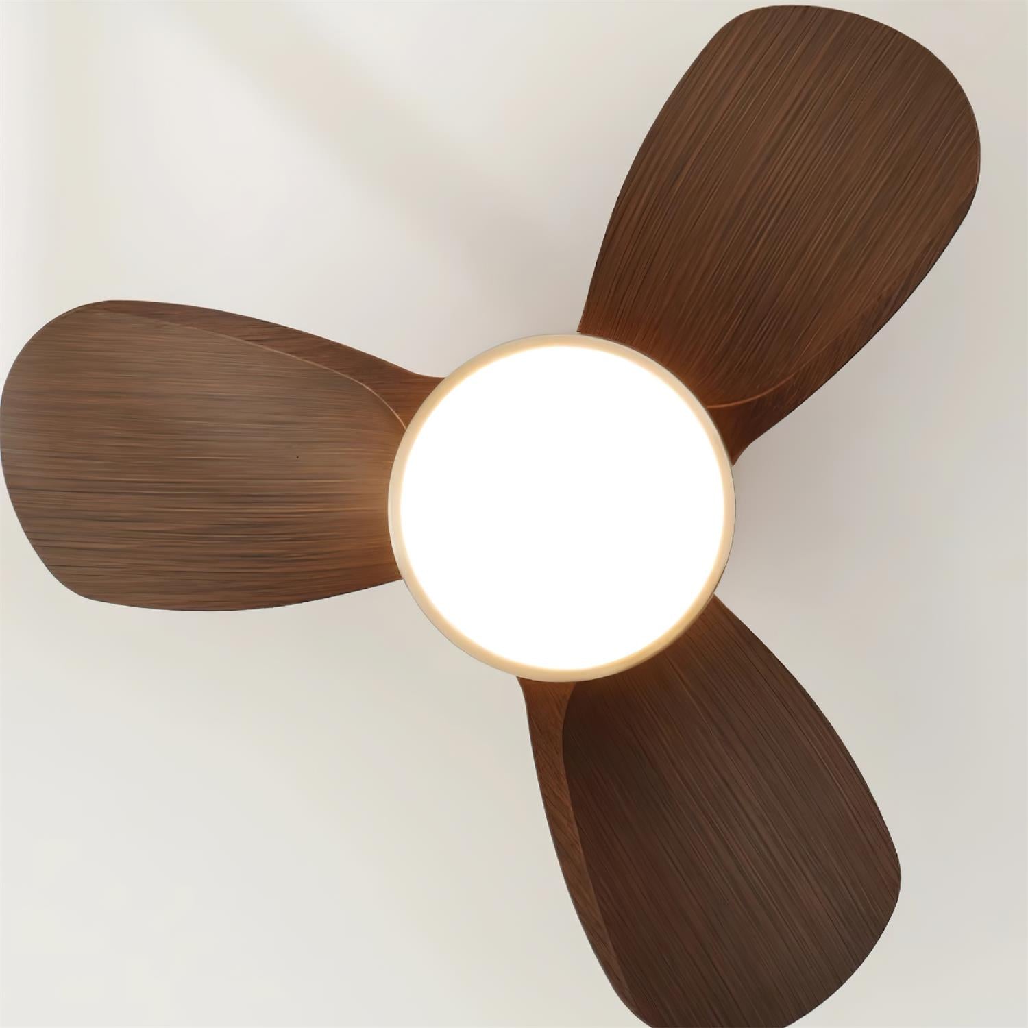 Mavro Ceiling Fan Light