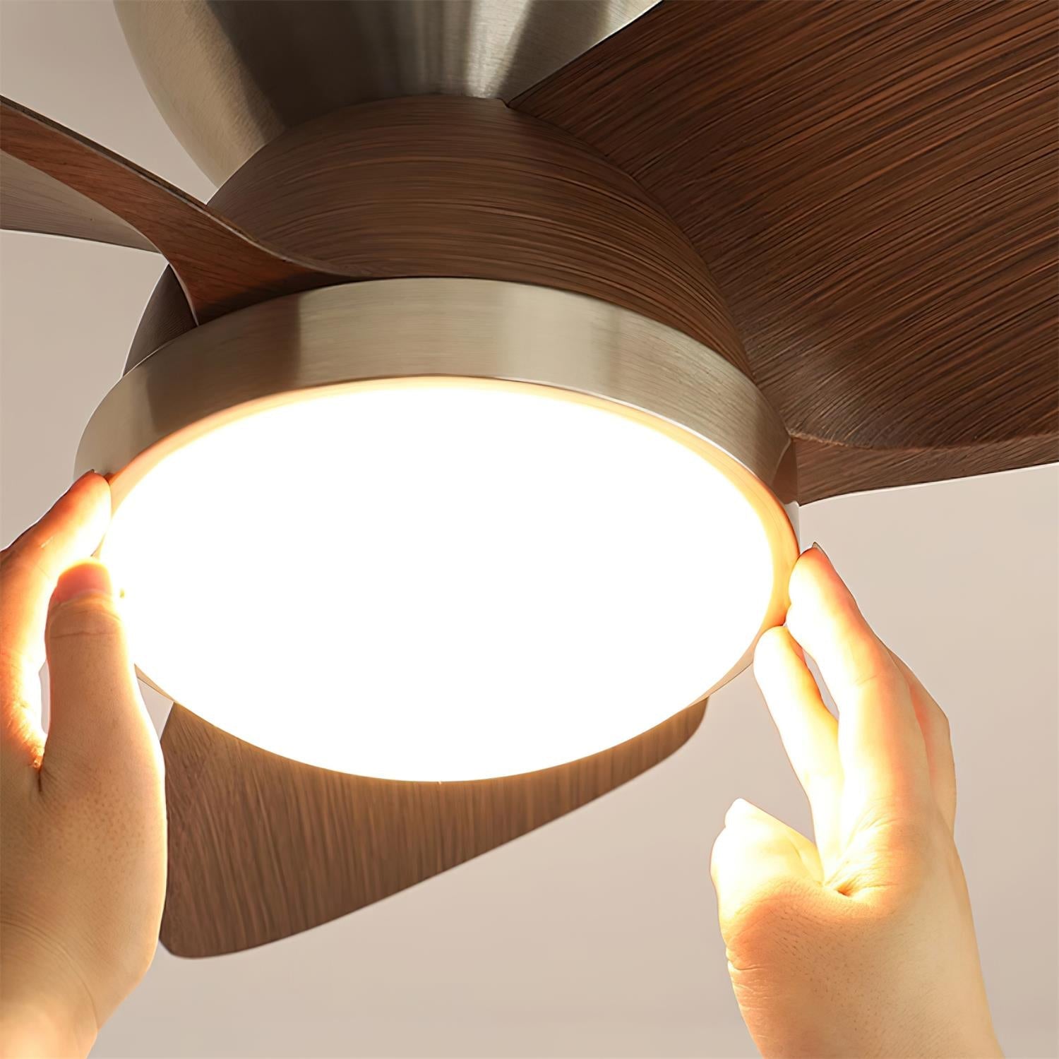 Mavro Ceiling Fan Light