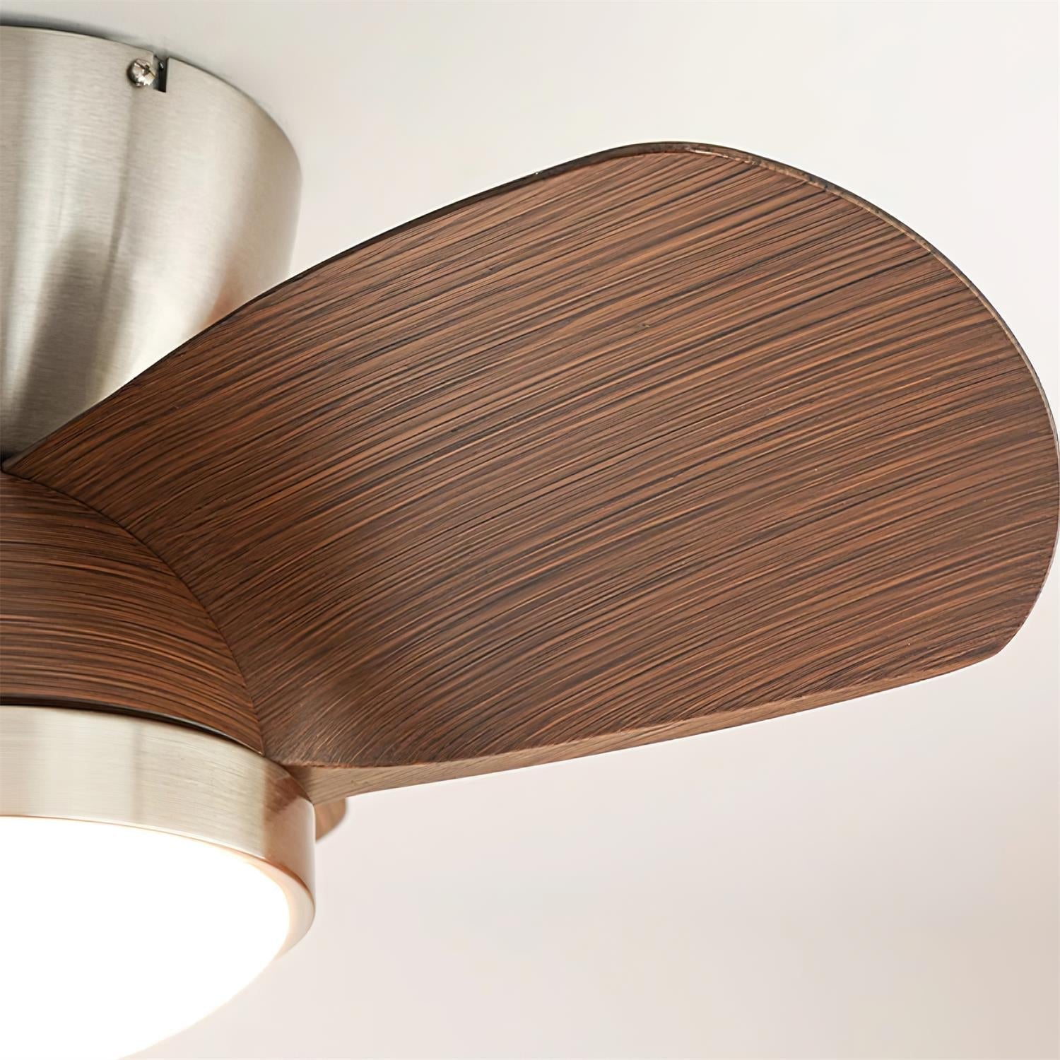 Mavro Ceiling Fan Light