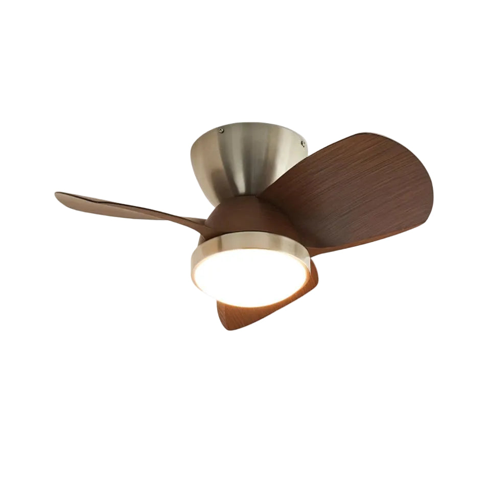 Mavro Ceiling Fan Light