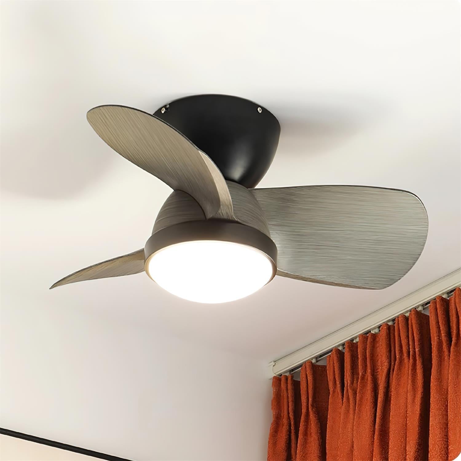 Mavro Ceiling Fan Light