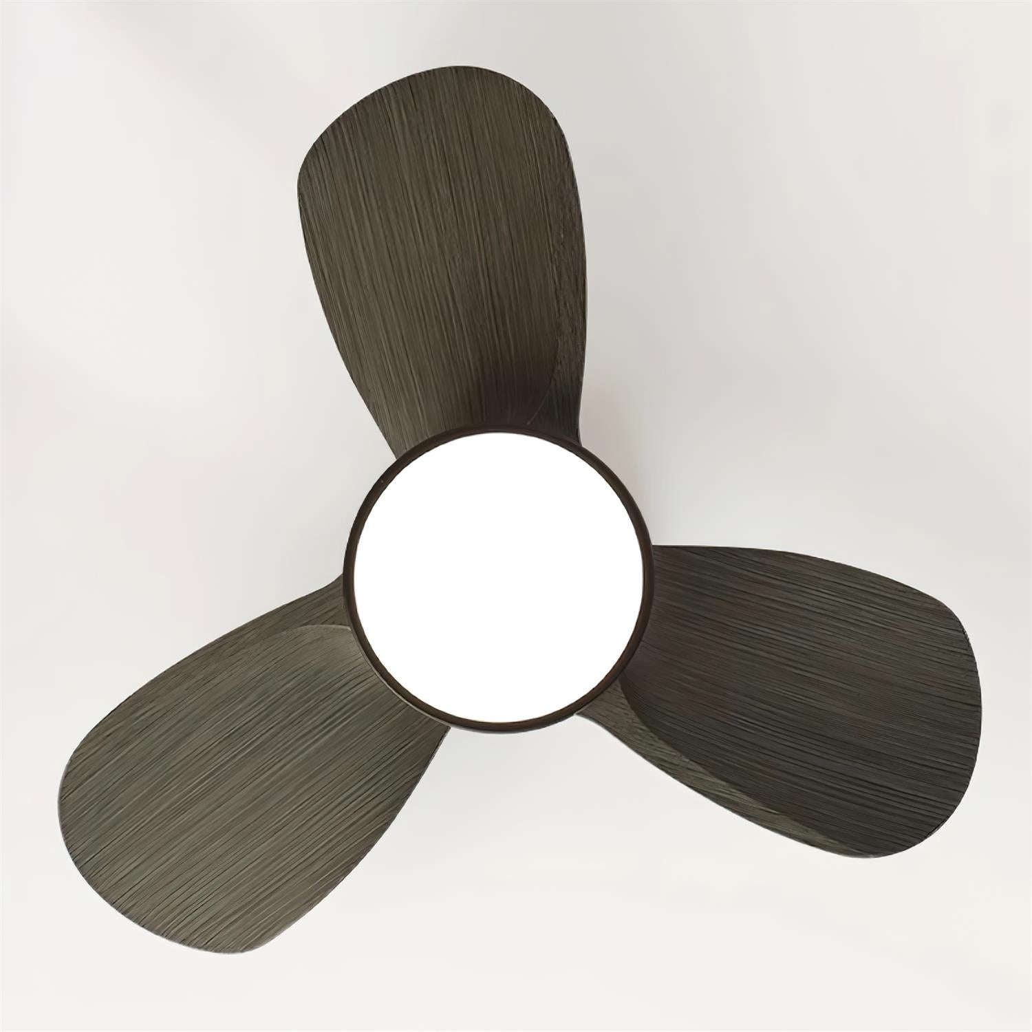 Mavro Ceiling Fan Light