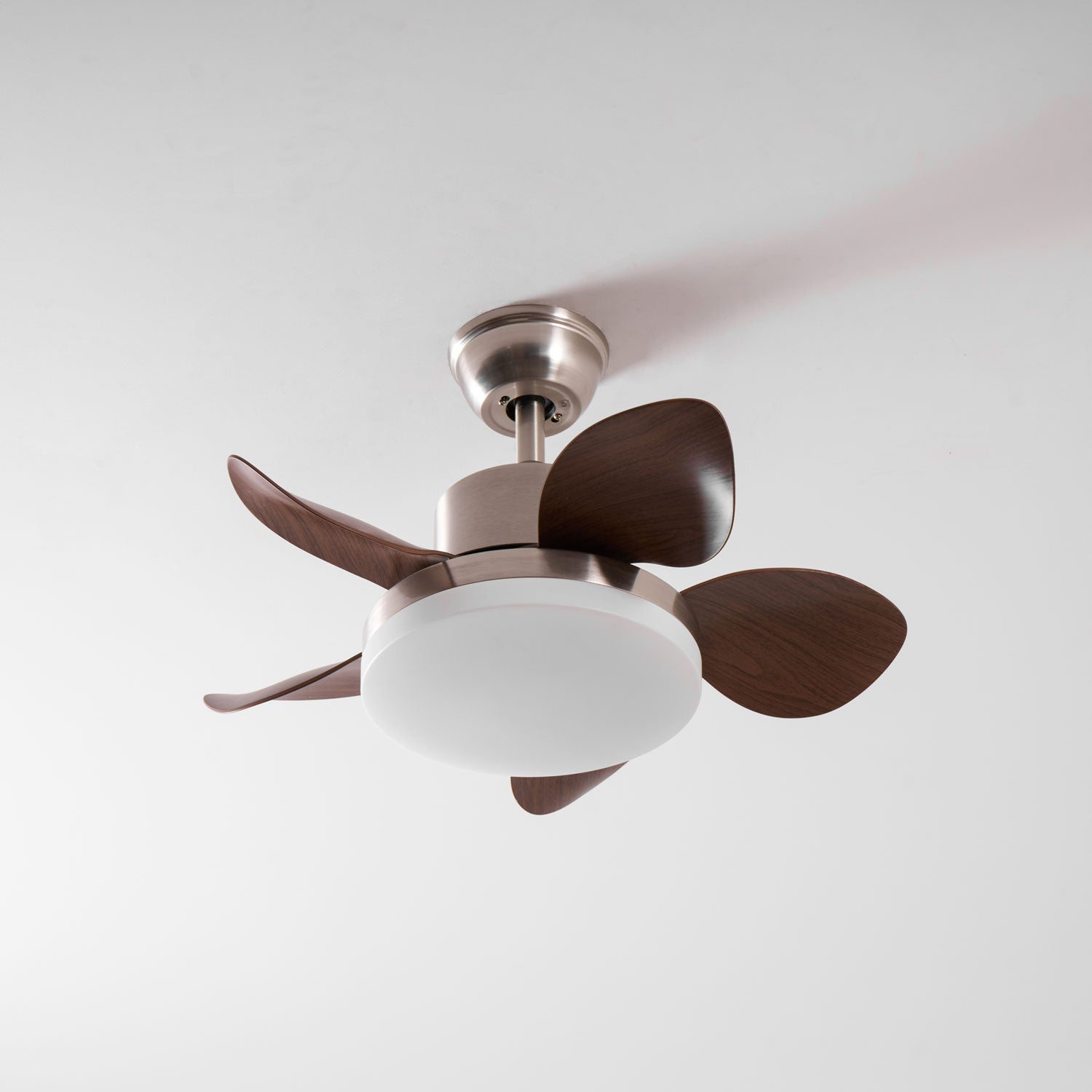 Evone Ceiling Fan Light