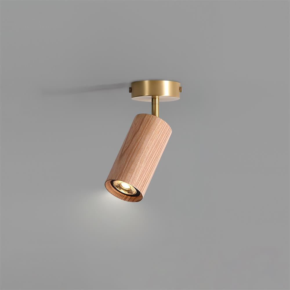 Marlii Ceiling Light