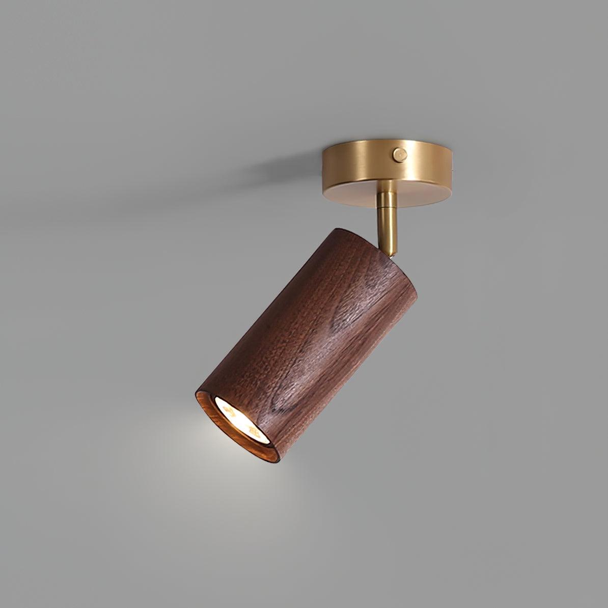 Marlii Ceiling Light