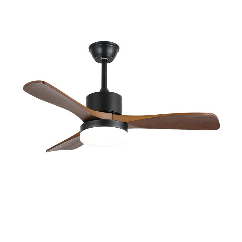 Evaner Ceiling Fan Light