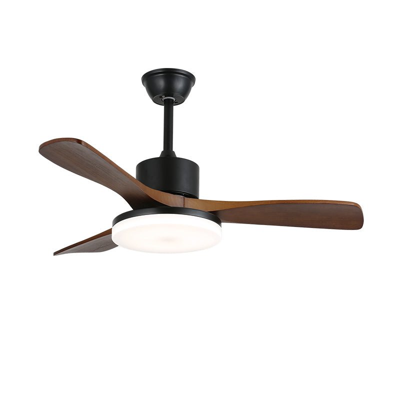 Evaner Ceiling Fan Light