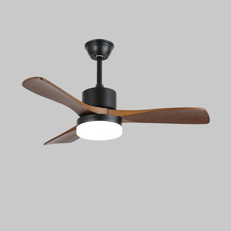 Evaner Ceiling Fan Light
