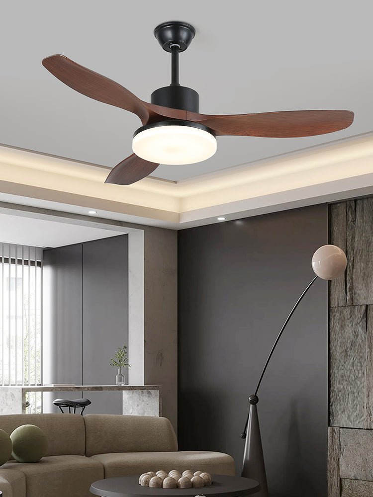 Evaner Ceiling Fan Light