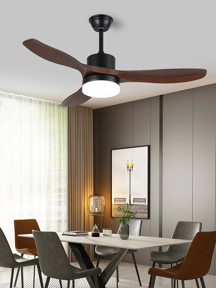 Evaner Ceiling Fan Light