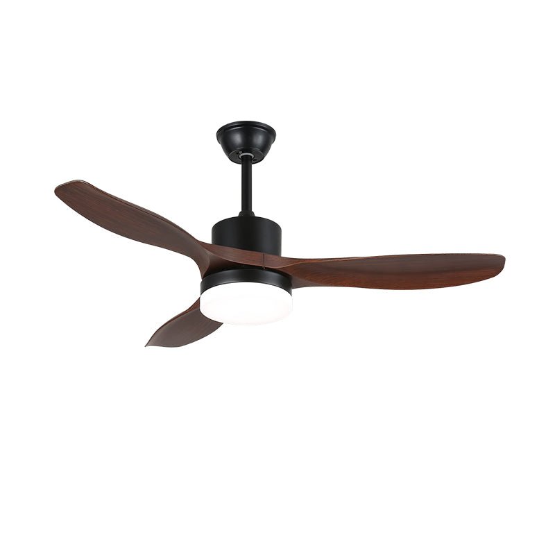 Evaner Ceiling Fan Light