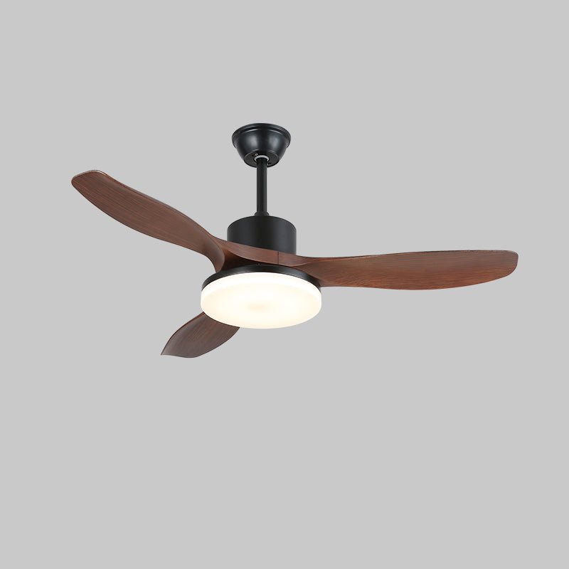 Evaner Ceiling Fan Light