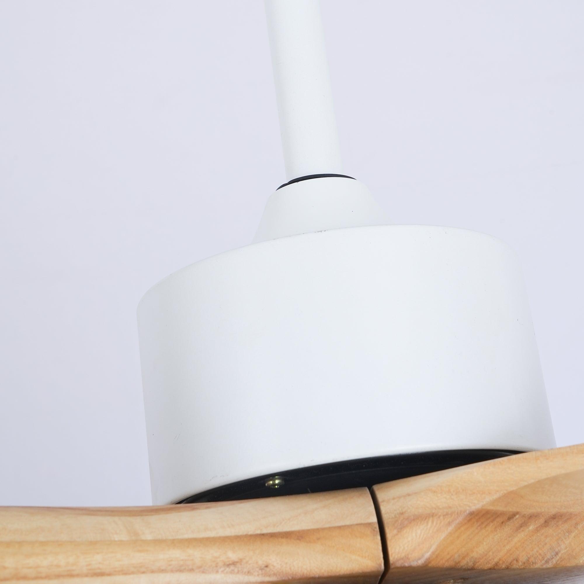 Zelal Ceiling Fan Light