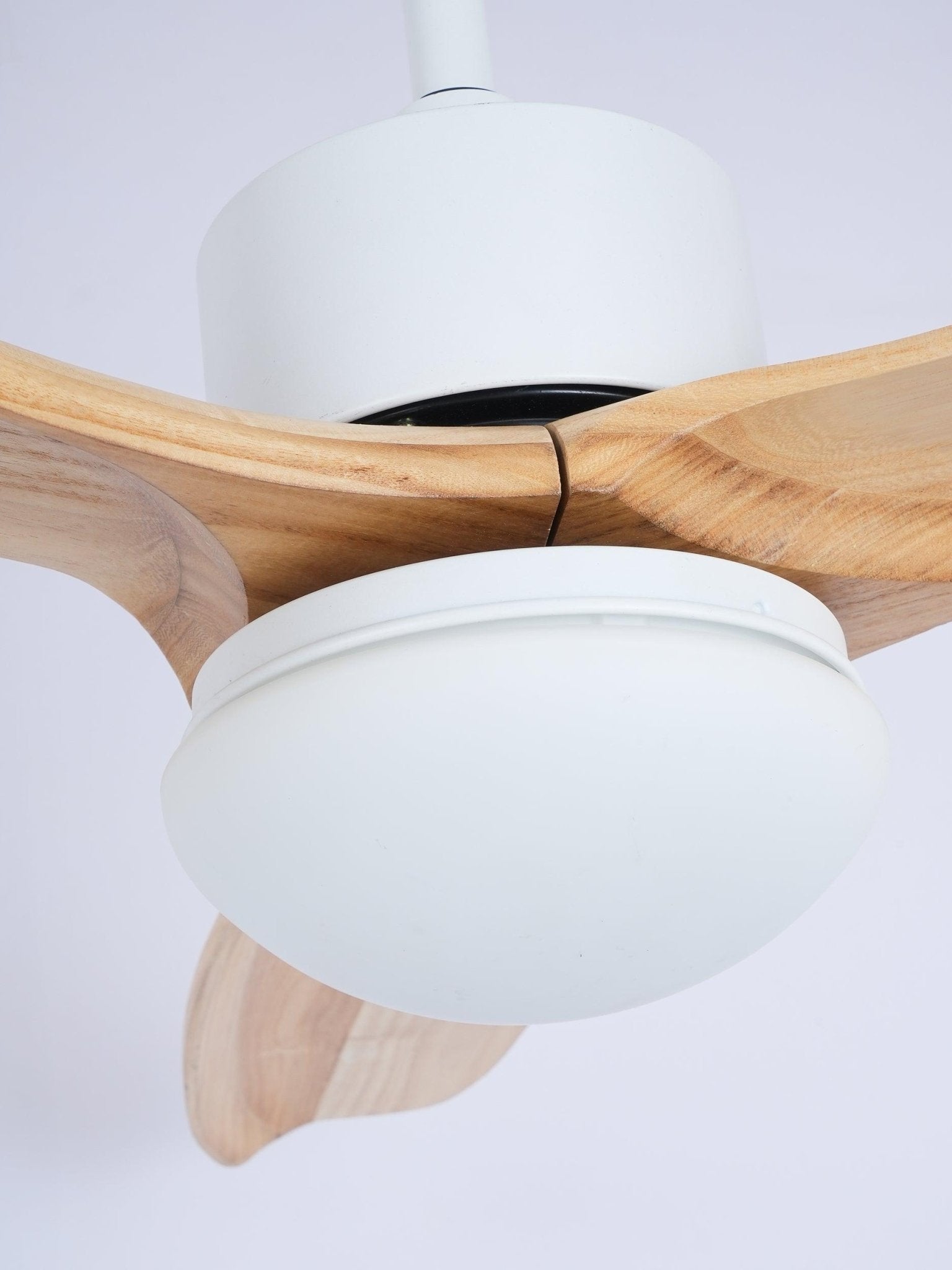 Zelal Ceiling Fan Light