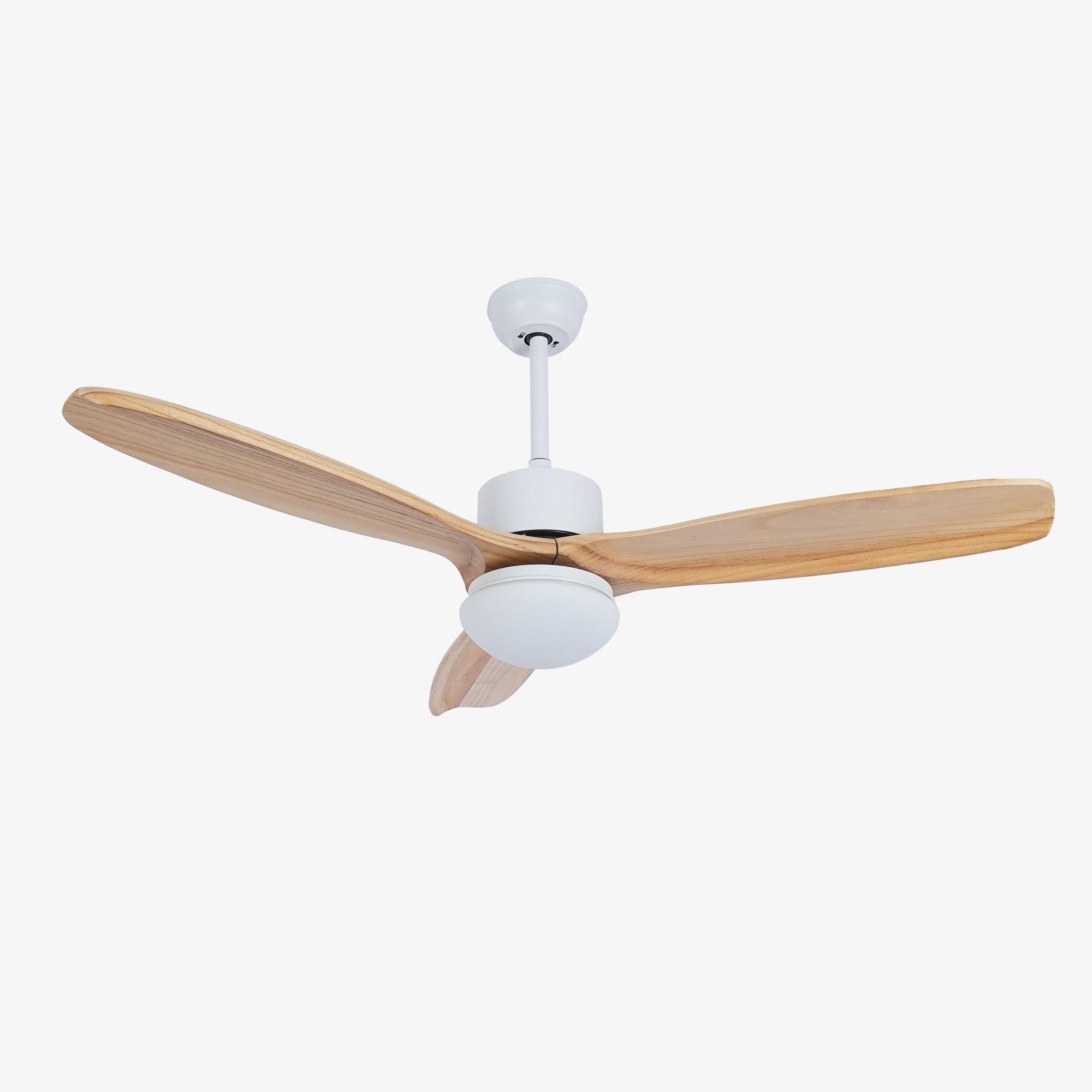 Zelal Ceiling Fan Light