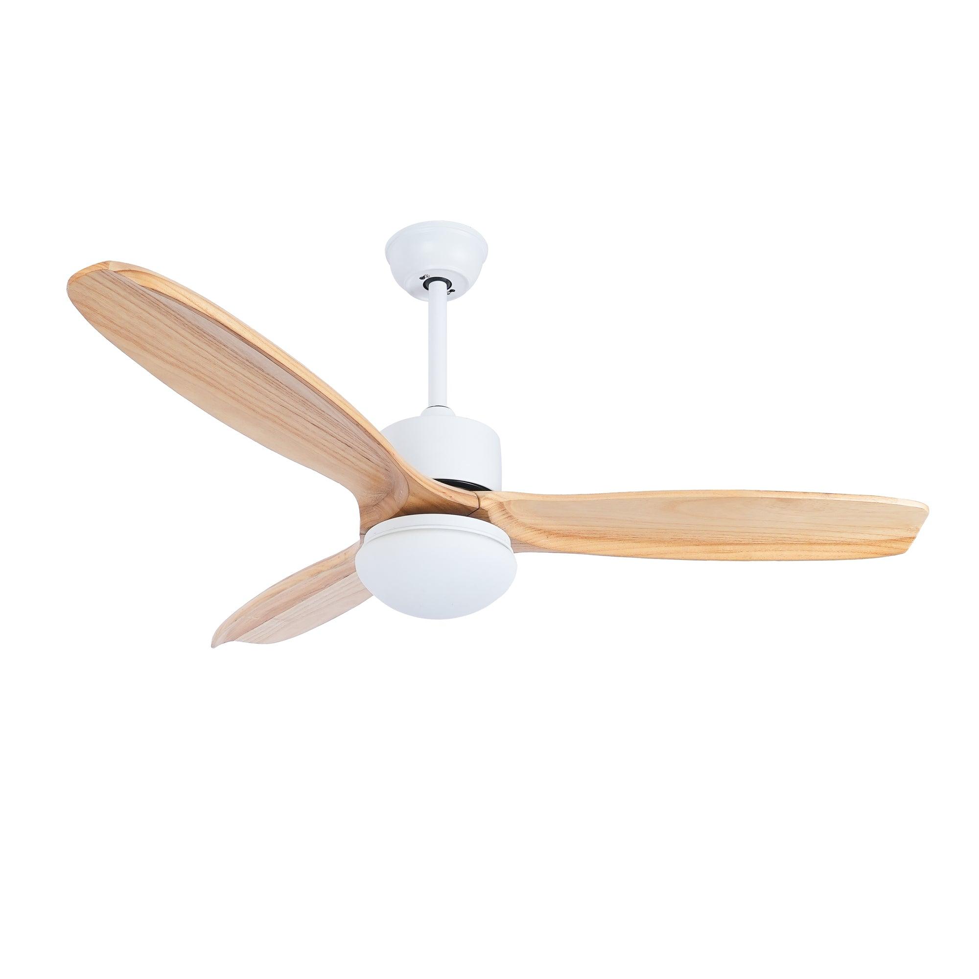 Zelal Ceiling Fan Light