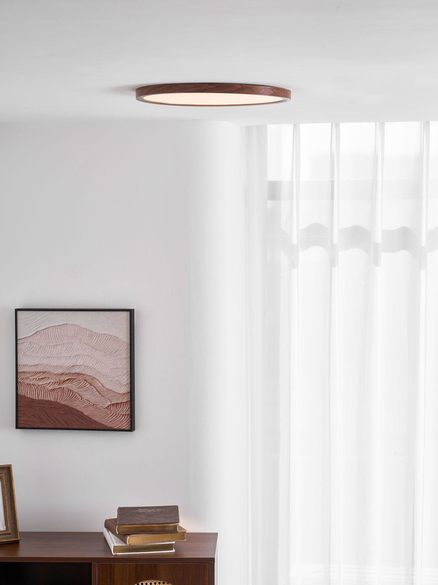 Orenerra Round Ceiling Light