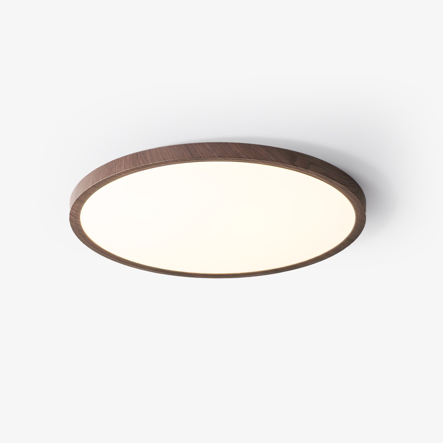 Orenerra Round Ceiling Light