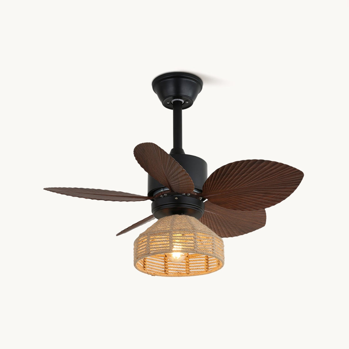Vayana Ceiling Fan Light