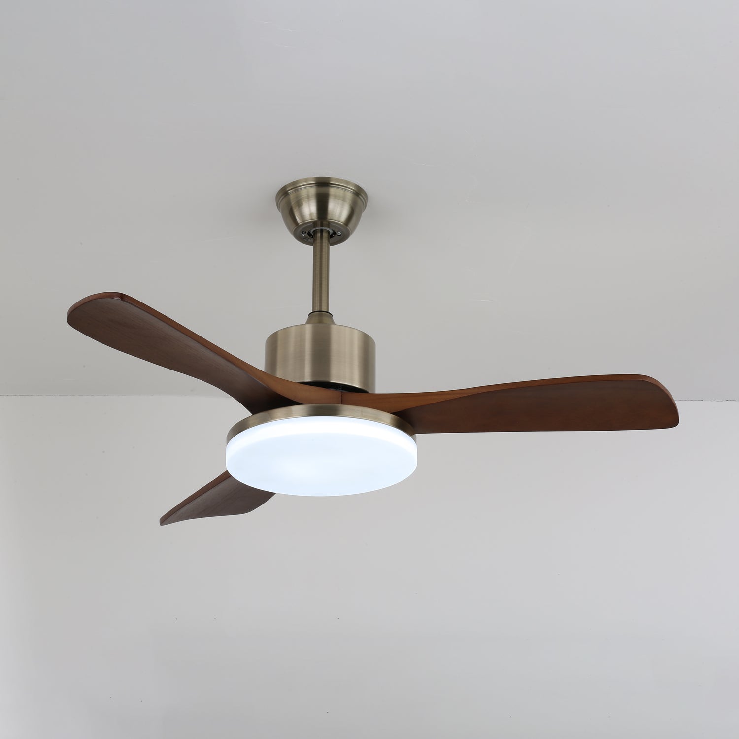 Noamiko Ceiling Fan Light