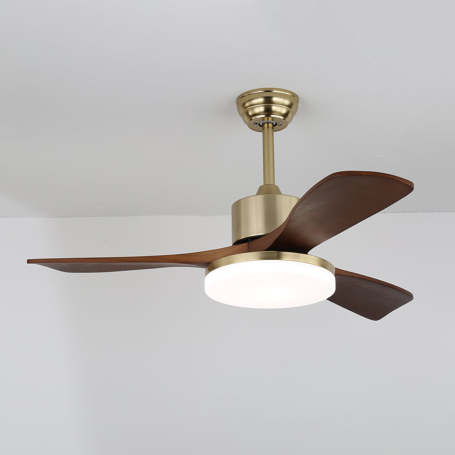 Noamiko Ceiling Fan Light