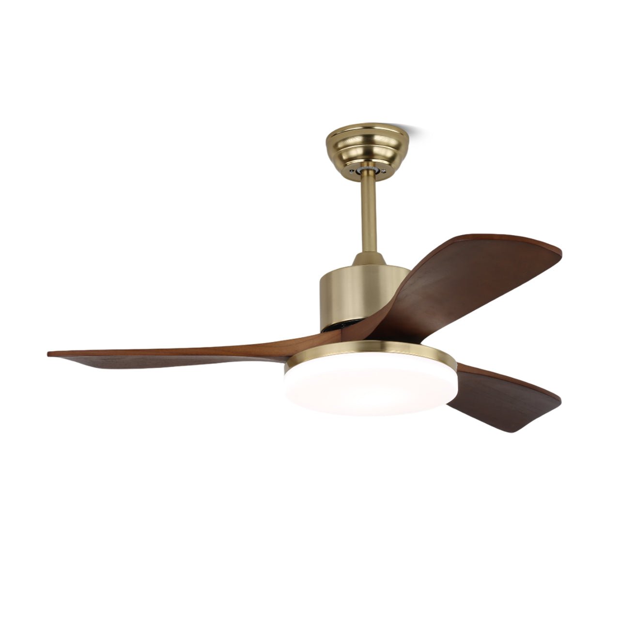 Noamiko Ceiling Fan Light