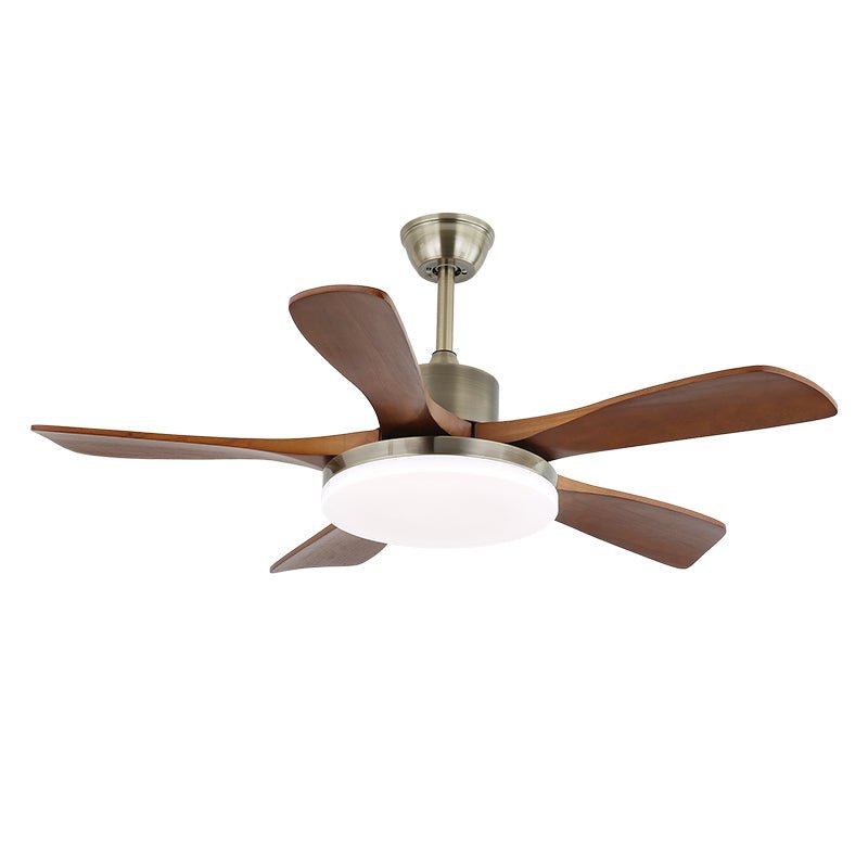 Zelon Ceiling Fan Light
