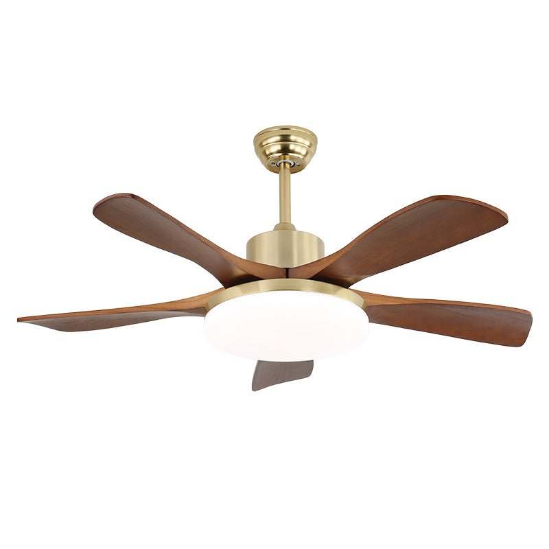 Zelon Ceiling Fan Light