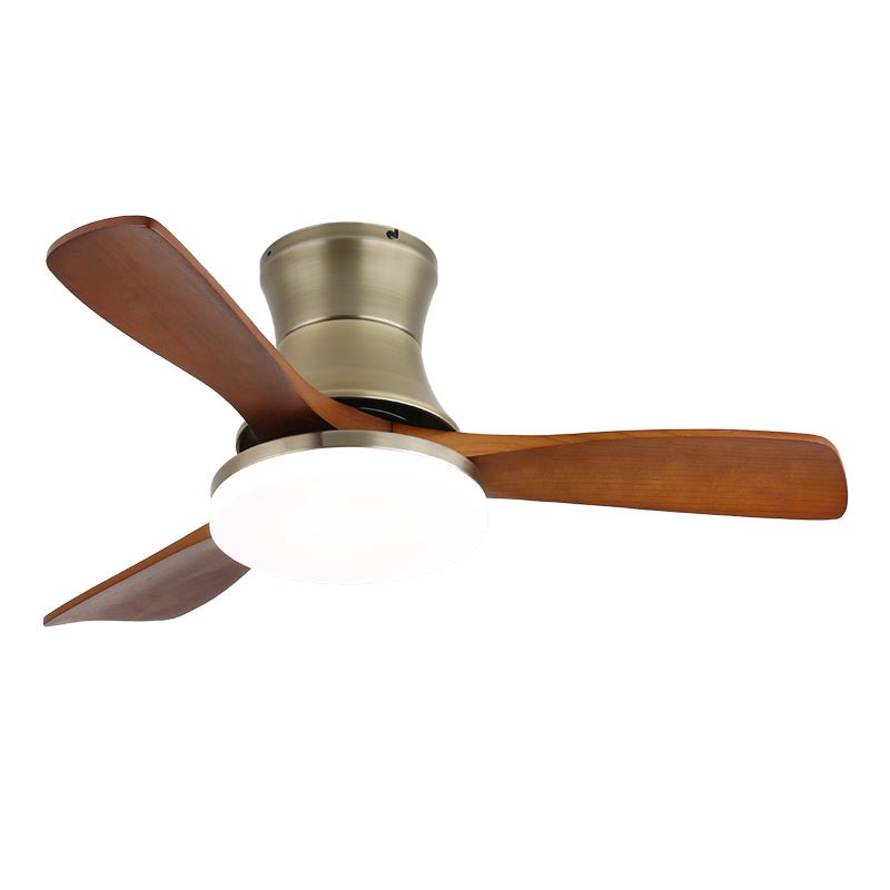 Zelon Ceiling Fan Light