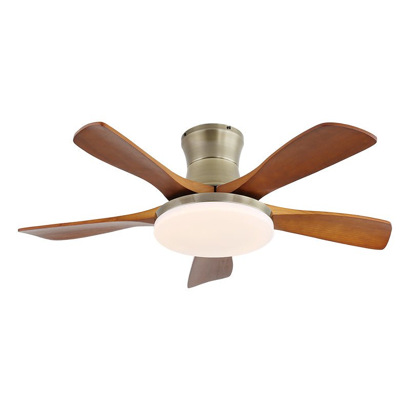 Zelon Ceiling Fan Light