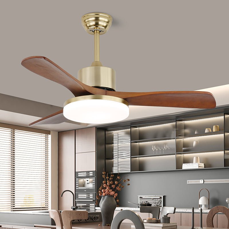Zelon Ceiling Fan Light
