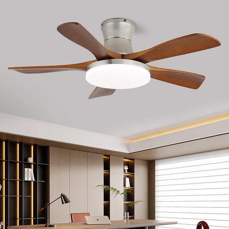Zelon Ceiling Fan Light
